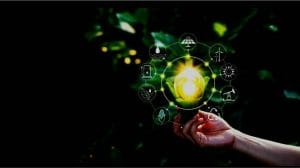 Low carbon economies