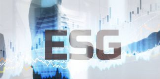 ESG, Sustainability, Consulting Market, ESG Investment, ESG Investing, Sustainable Investing