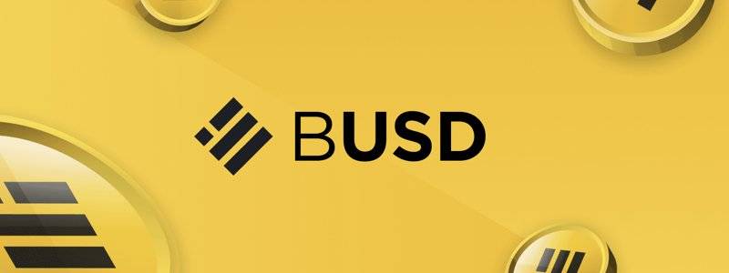 digitalassetinsights_binance_busd