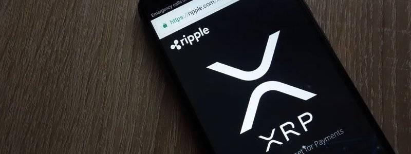 digitalassetinsights_ripple digitalassetinsights_ripple
