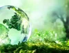 The Road To Sustainability: How Green Investments Are Making An Impact