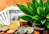 Coins and currency notes with a green plant background.