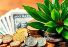 Coins and currency notes with a green plant background.