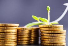 Golden coins stacked, thriving green plant, ascending arrow.