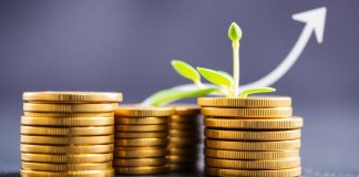 Golden coins stacked, thriving green plant, ascending arrow.