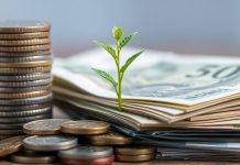 Coins, banknotes, and a small plant.