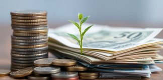 Coins, banknotes, and a small plant.