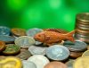 Unpacking Fisher Investment Reviews: Is It the Right Choice for Your Portfolio?