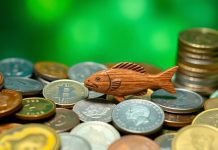 Fisher Investment portfolio choice