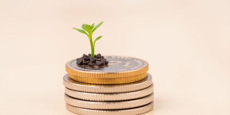 Coins stacked with a small plant growing