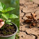 Steer Clear: 4 Types of Investments to Avoid for a Healthier Portfolio