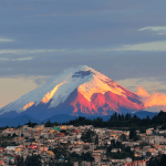 Ecuadorian Elegance: The Virtual Number Expedition 📞