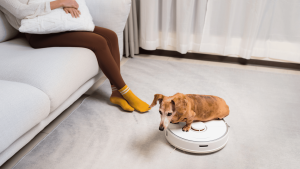 Choosing the Right Dog Breed Based on Your Lifestyle and Career