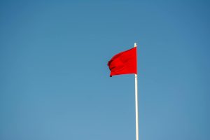 Identifying Agency Red Flags and Characteristics of Effective Partnerships