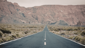 Long Distance Moves Have More Ways to Go Wrong and the Company You Pick Determines Which Way Yours Goes
