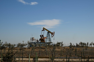 OPEC+ and the Business World: What’s the Connection?